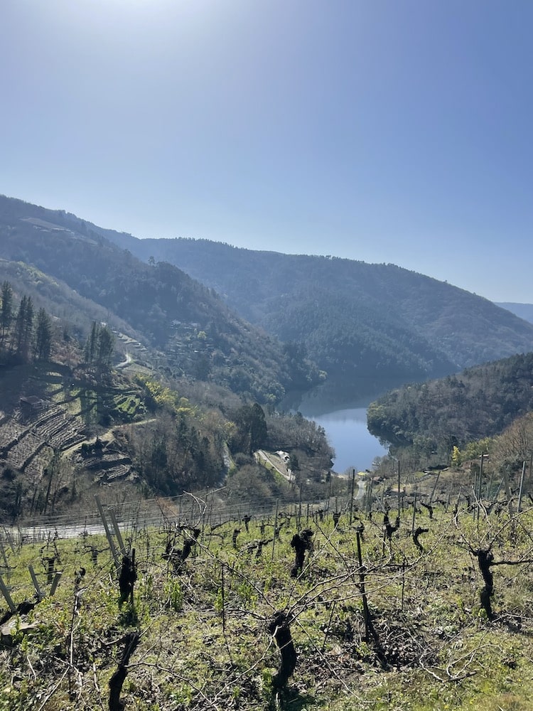 Quinta do Estranxeiro Penapedre 2021
