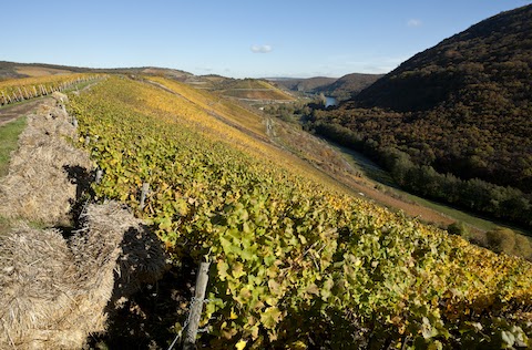 Dönnhoff Höllenpfad im Mühlenberg Riesling GG 2020