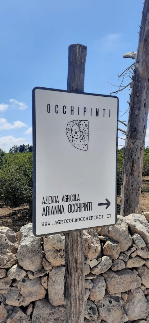 Azienda Agricola Arianna Occhipinti