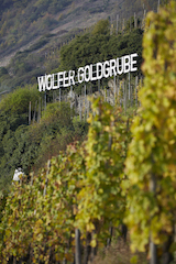 Vollenweider Goldgrube Aurum 2017 ausgegoren