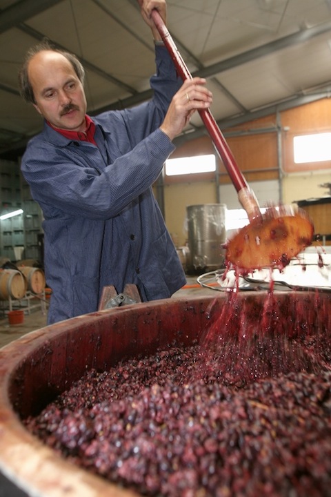 Martin Waßmer Pinot Rosé brut Magnum