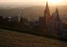 Kuehling-Gillot-Gemischter-Satz-trocken-2.jpg