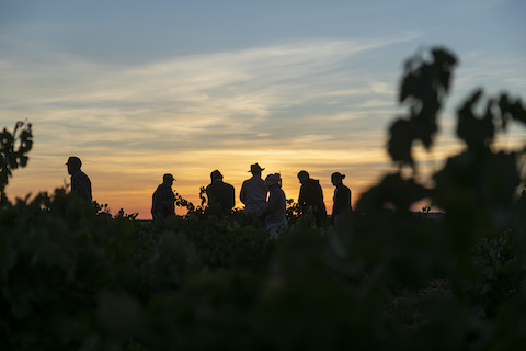 Bitacora Rueda Verdejo