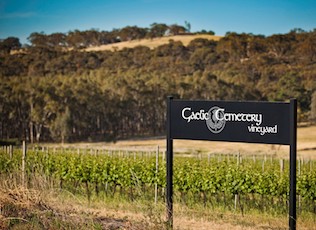 Gaelic Cemetery Vineyard Shiraz 2006