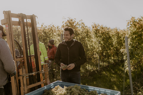 Winter Dittelsheim Geiersberg GG Riesling