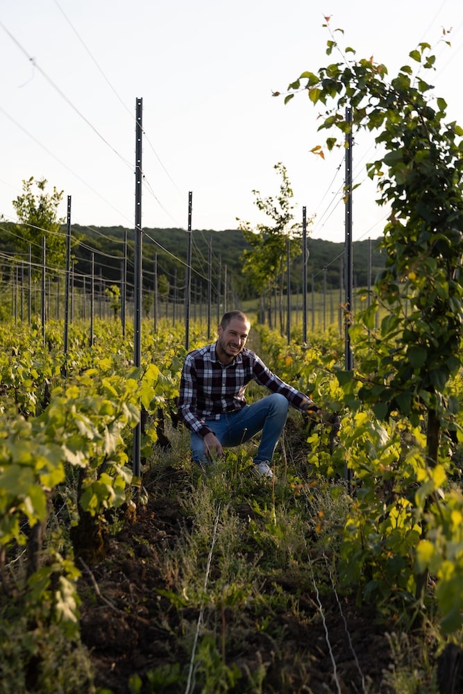 Adrien Renoir Coteaux Champenois Verzy Rouge Grand Cru 2022