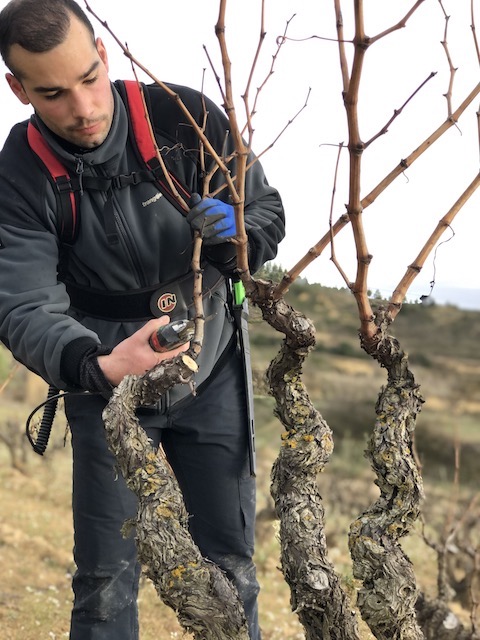 Jose Gil San Vicente Labastida Village Wine 2023