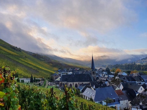 Willi Schäfer Wehlener Sonnenuhr Riesling Spätlese 2025