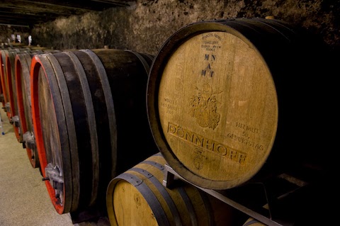 Dönnhoff Höllenpfad im Mühlenberg Riesling GG 2020
