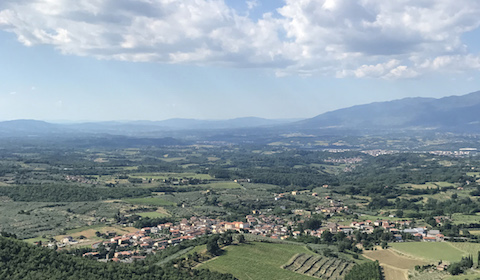 Riolite Vini
