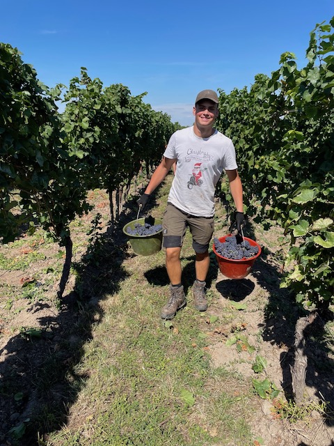 Weingut Andres Muskateller trocken BIO