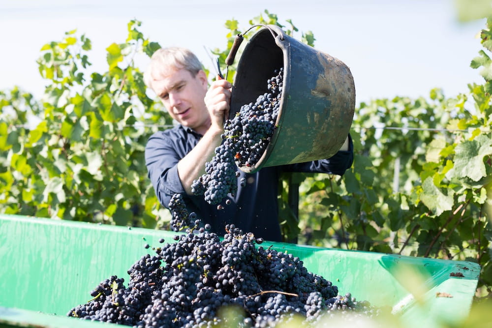 Weingut Matthias Keth