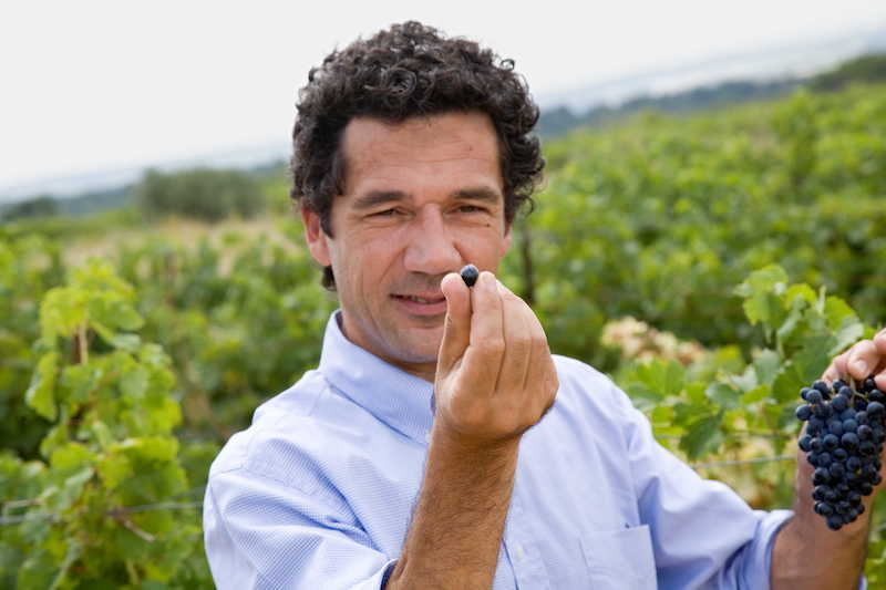 Paul Mas Le Rosé