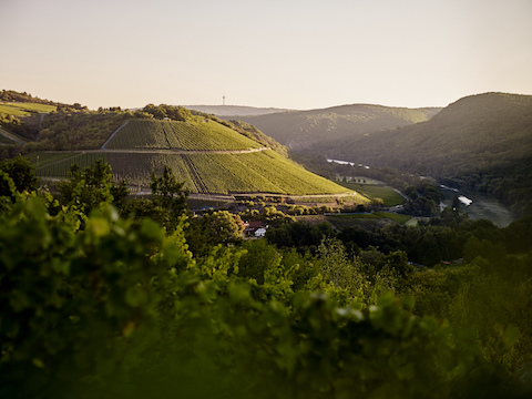 Dönnhoff Höllenpfad im Mühlenberg Riesling GG 2021