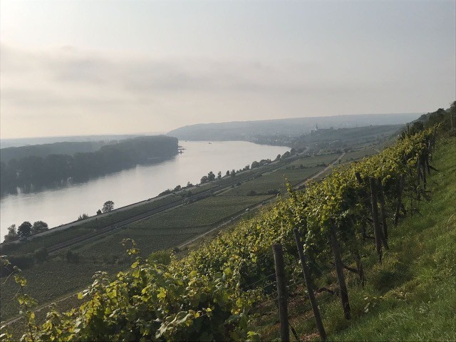 Battenfeld Spanier Blanc de Noirs 2017 Extra Brut BIO