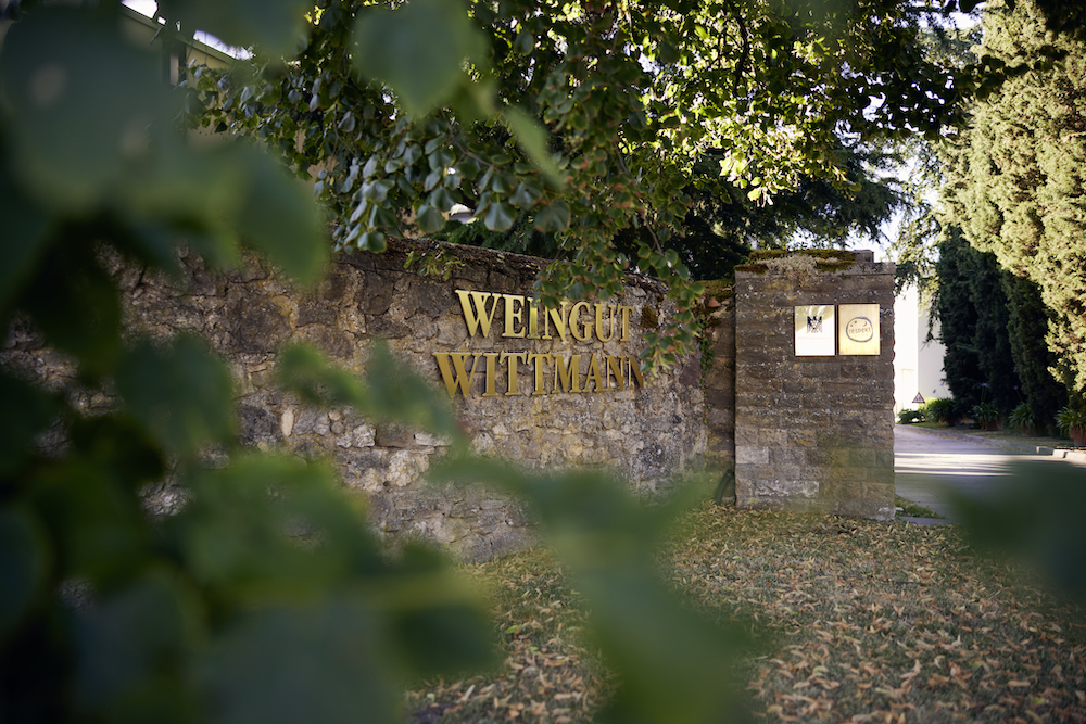 Wittmann Westhofen Morstein Riesling Großes Gewächs 2024 BIO