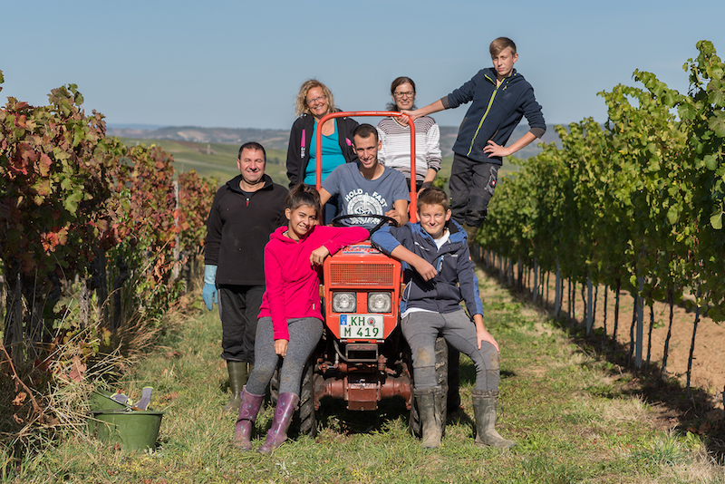 Weinhof Mayer