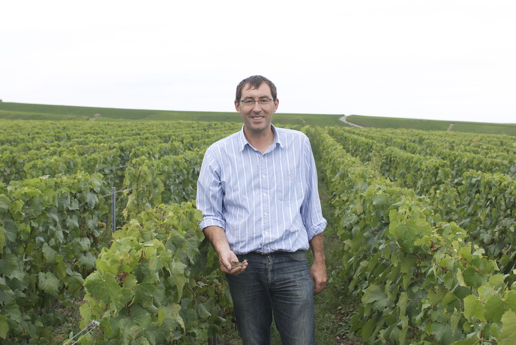 Larmandier-Bernier Champagne Terre de Vertus Premier Cru brut nature BIO