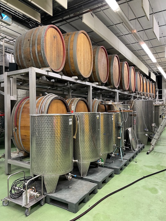 Künstler Hochheim Hölle GG Riesling trocken 2019