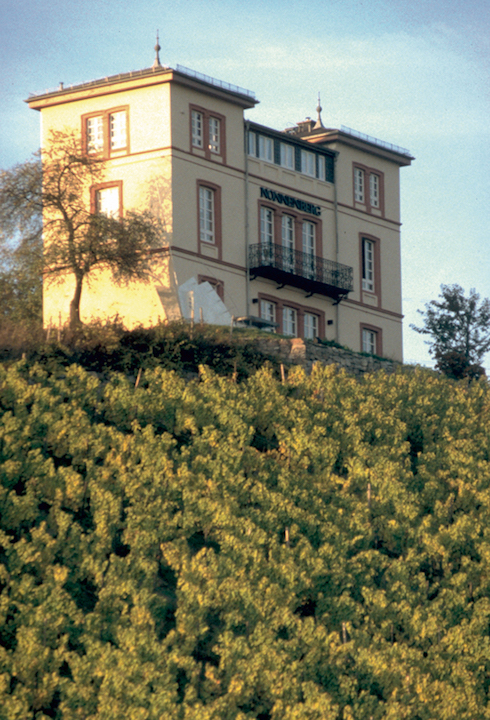Georg Breuer Pfaffenwies Lorch Riesling 2021