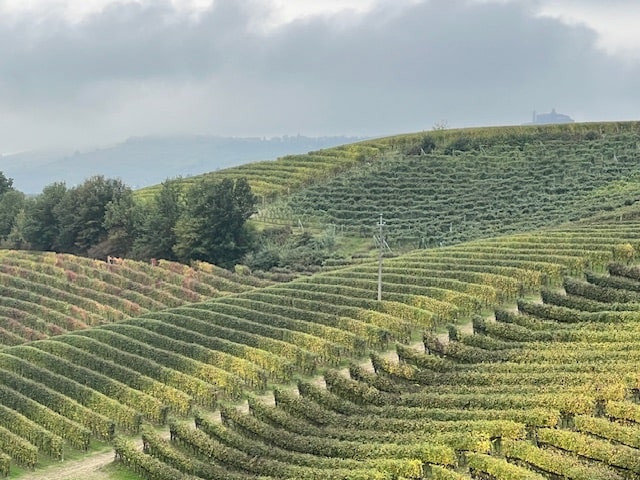 Piero Busso Barbaresco San Stunet 2021