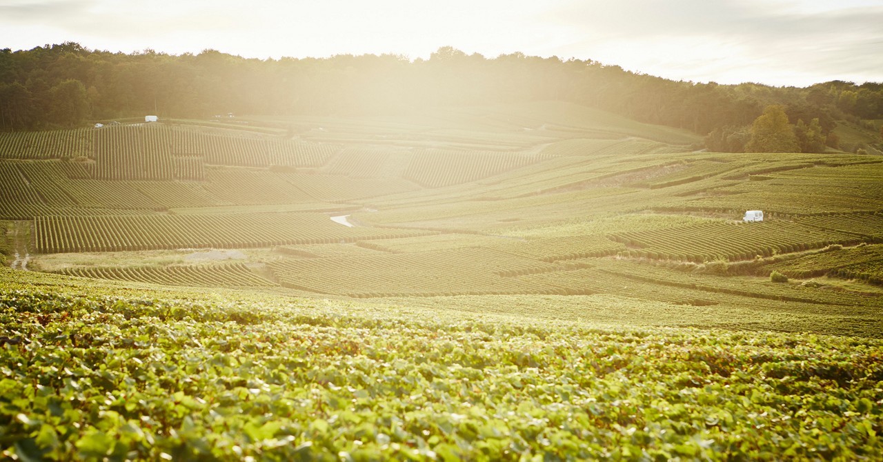 Krug Clos du Mesnil 2006