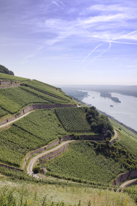 Georg Breuer Rauenthal Nonnenberg Riesling 2021