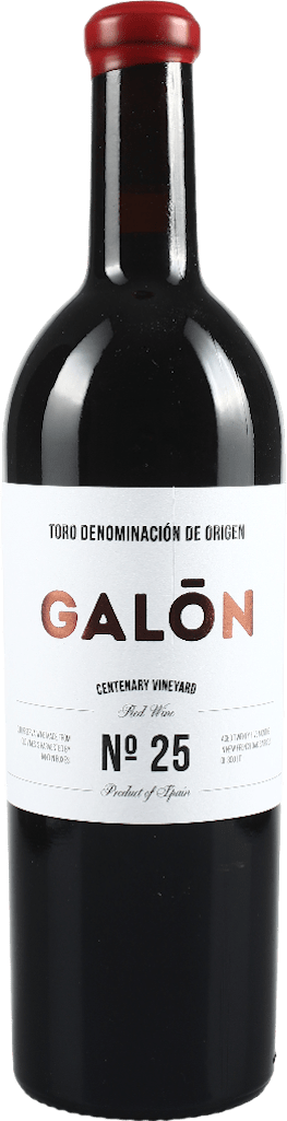 Galon Reserva 25 meses tinto