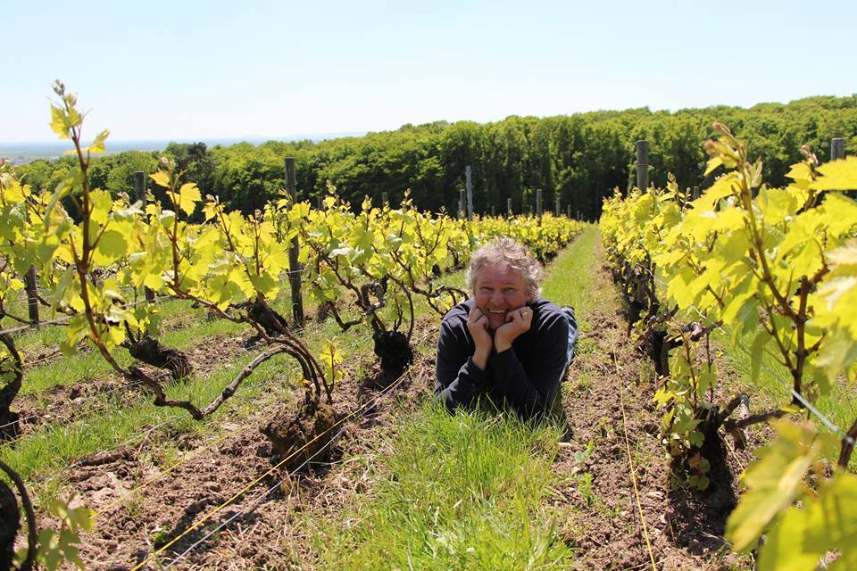 David Léclapart L'Aphrodisiaque 2018 BIO