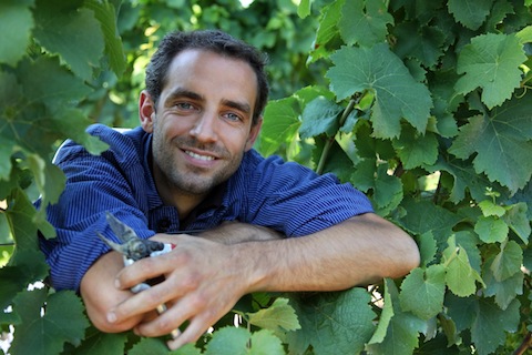 Ellermann Spiegel Auxerrois