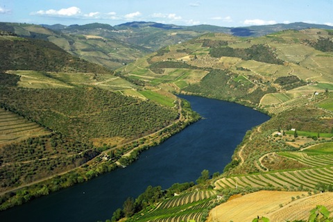 Quinta do Noval