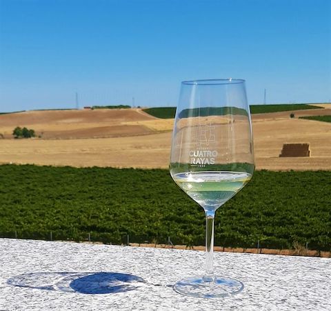 Bitacora Rueda Verdejo