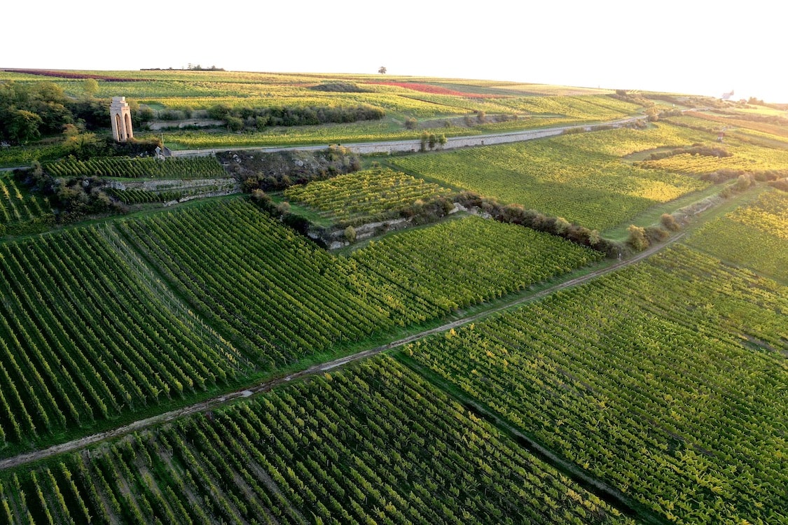 Schwedhelm Riesling Kabinett Karlspfad 2022
