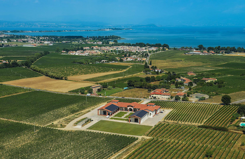 Le Morette