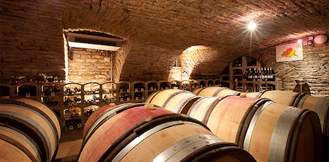 Jean-Philippe Fichet Bourgogne Blanc 2024