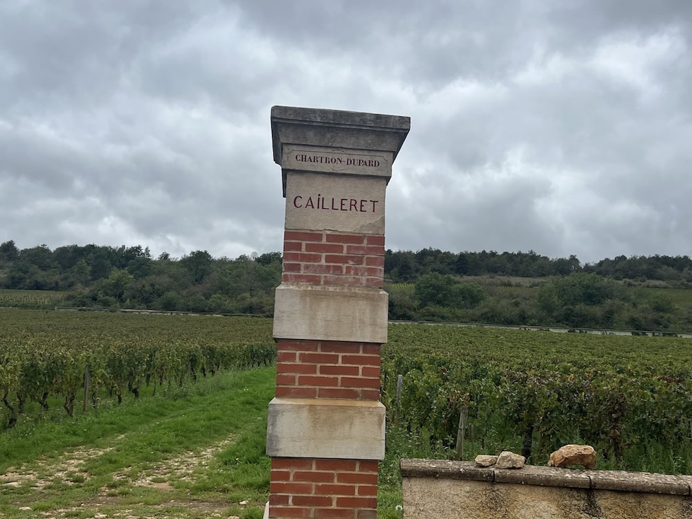 Morey-Coffinet Chassagne-Montrachet En Cailleret 1er Cru 2022 BIO