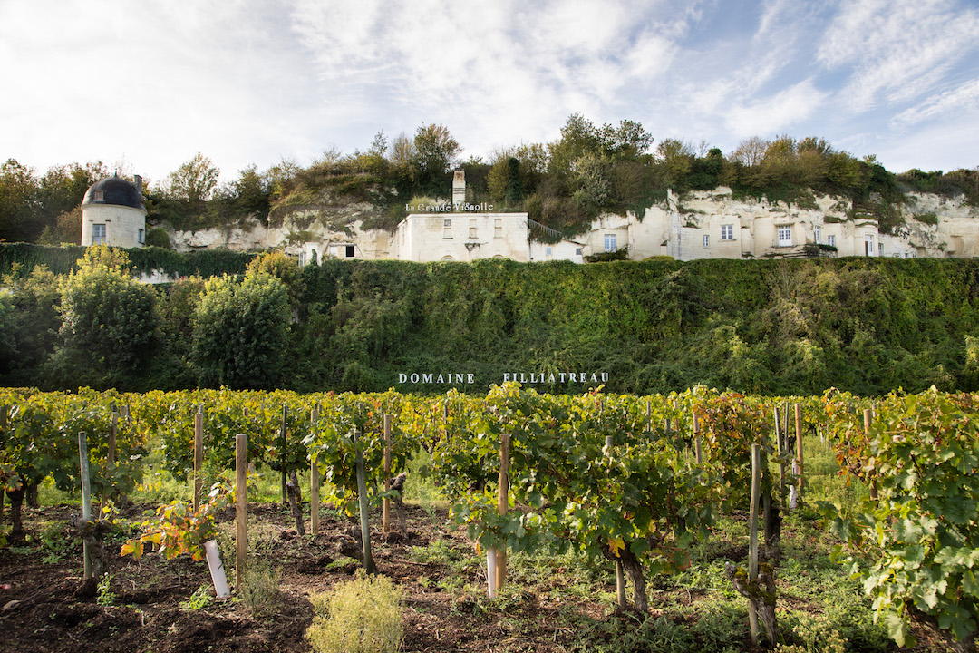 Château Fouquet Saumur rouge 2018 BIO