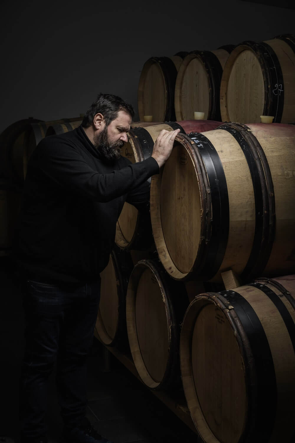 Domaine Bretaudeau Ornate Merlot 2023 BIO