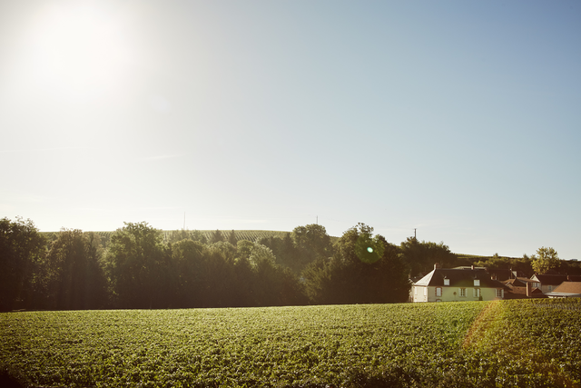Krug Clos d'Ambonnay 2006