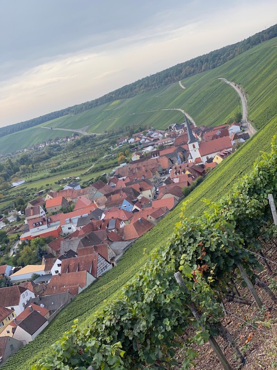 Horst Sauer Escherndorfer Lump Silvaner Trockenbeerenauslese 2019
