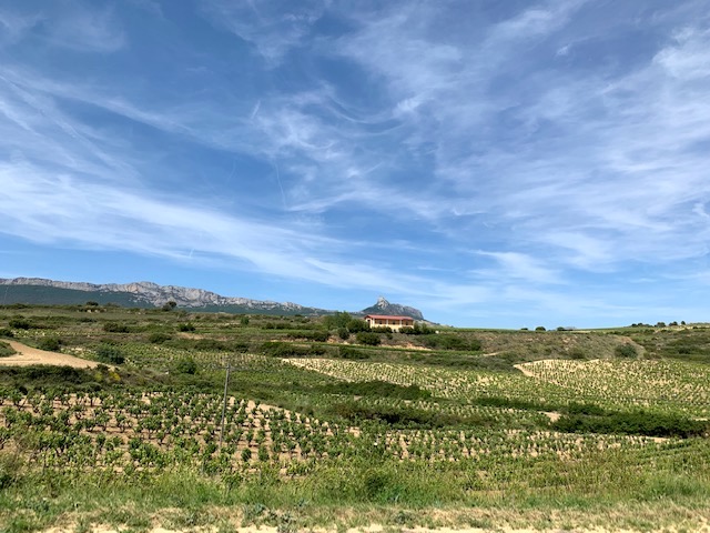 Bodegas Barón