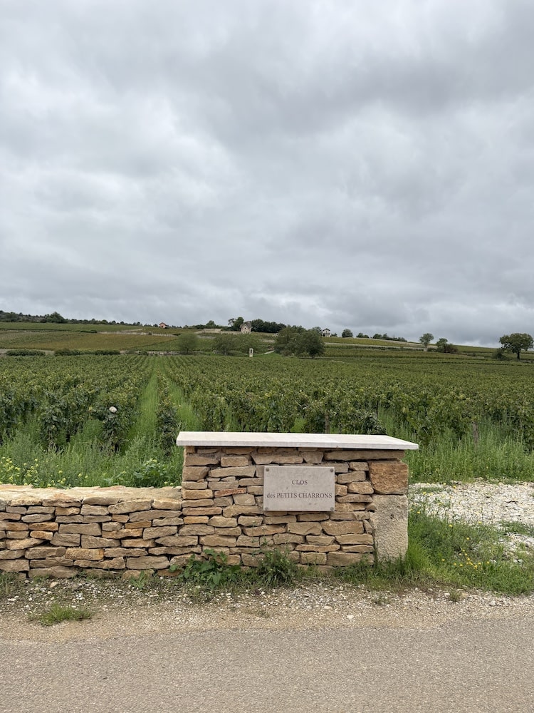 Sylvain Bzikot Meursault Les Charrons blanc 2022