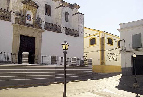 Perez-Marin-La-Guita-Manzanilla-1.jpg