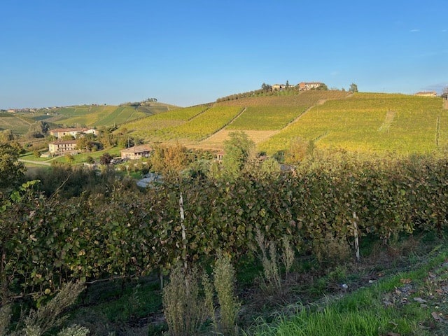 Fratelli Revello Langhe Nebbiolo