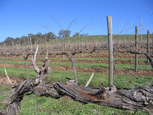 Gaelic Cemetery Vineyard Shiraz 2006