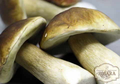 Sapori di Montagna Funghi Secchi Porcini Steinpilze getrocknet