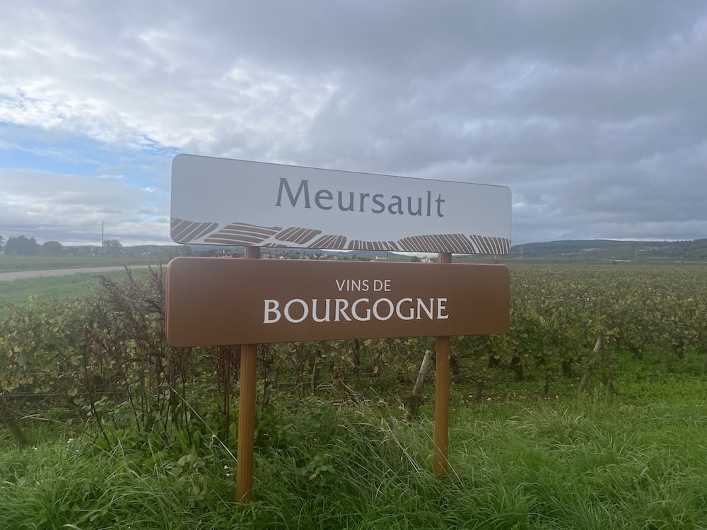 Sylvain Bzikot Bourgogne blanc 2024