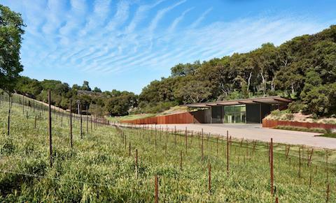 Saxum Paderewski Vineyard 2019
