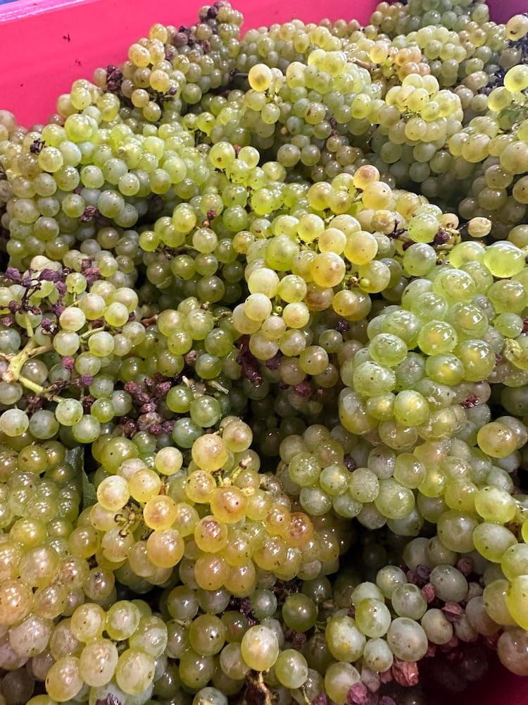 Étienne Calsac Rosé de Craie Extra Brut