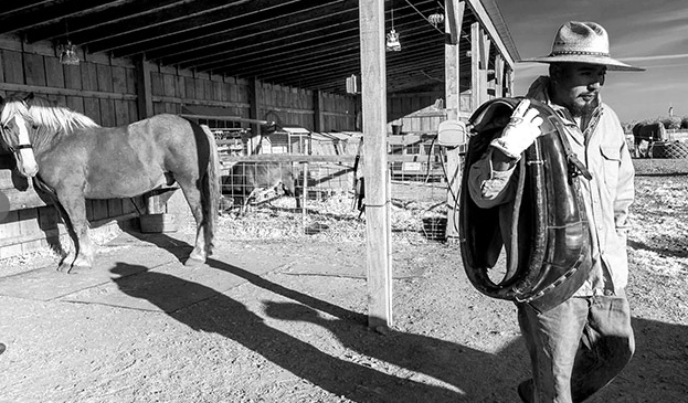 Horsepower Vineyards The Tribe Vineyard Syrah 2014
